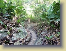 Colombia-Tayrona-National-Park-Sept2011 (177) * 3648 x 2736 * (5.22MB)